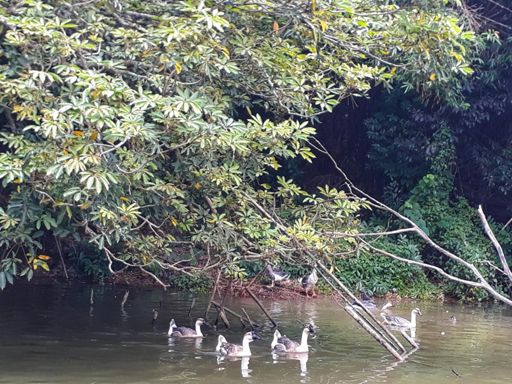 #sarap n pulutan😅