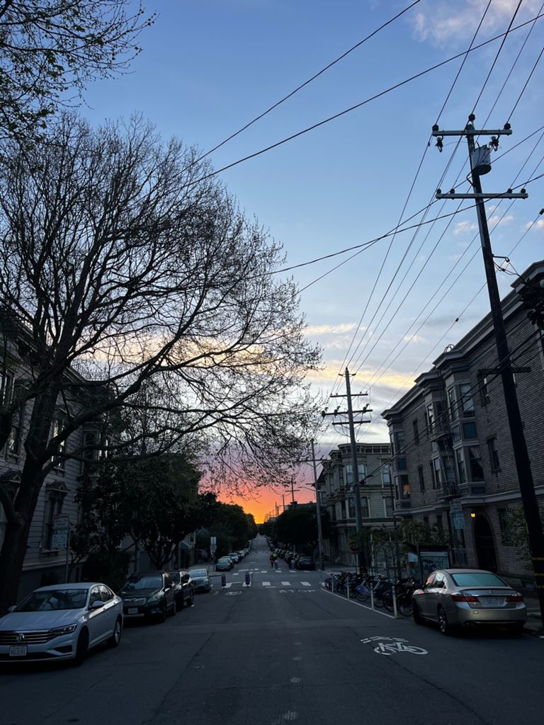 Butterlap (Presidio & Golden Gate Park) photo 109