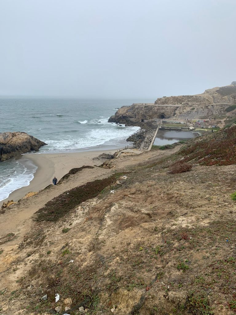 Butterlap (Presidio & Golden Gate Park) photo 194