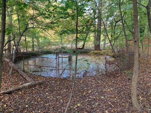 Found this old pool or fountain ⛲️