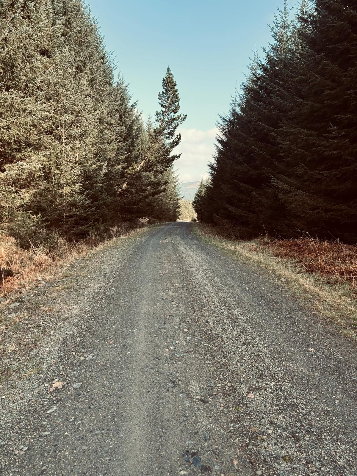 Galloway Forest, Scotland.