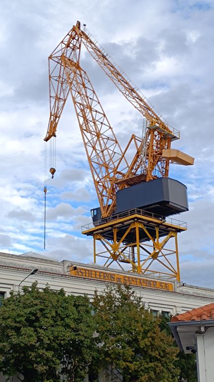 En comunión con las marismas… pero en guerra con el pronóstico 🌧️