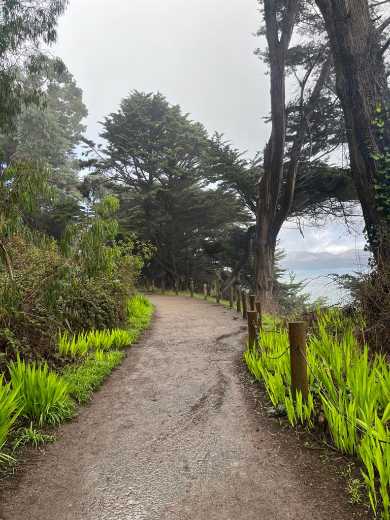 Butterlap (Presidio & Golden Gate Park)的照片 97