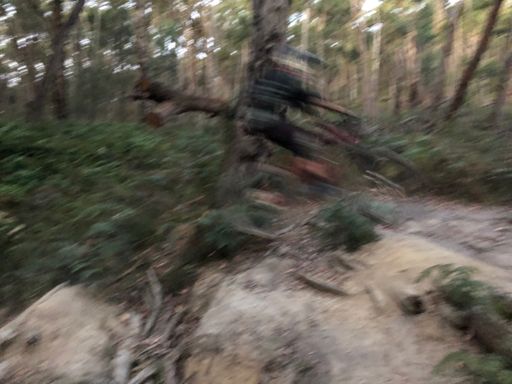 Rob in between dimensions.