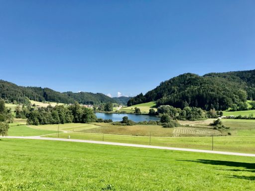 Bichelsee ☀️🏊‍♂️🛶🐟⛱