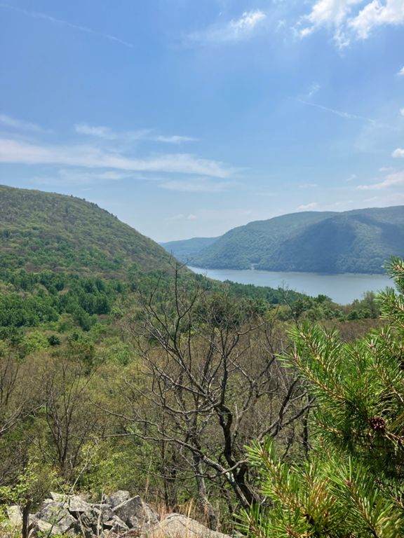 Breakneck Marathon | 25.6 mi Trail Running Route on Strava