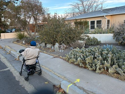 The entire lawn, with no sign of Albie