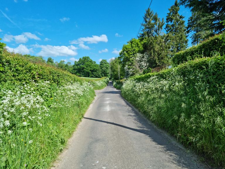 route-highlight