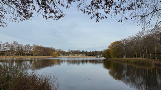 Die ersten Vorboten des heranziehenden Tiefs prägen an diesem Nachmittag um eine Minute nach Halb Zwei die Stimmung am ruhigen Orankesee. ☁️🌞🍃🍁