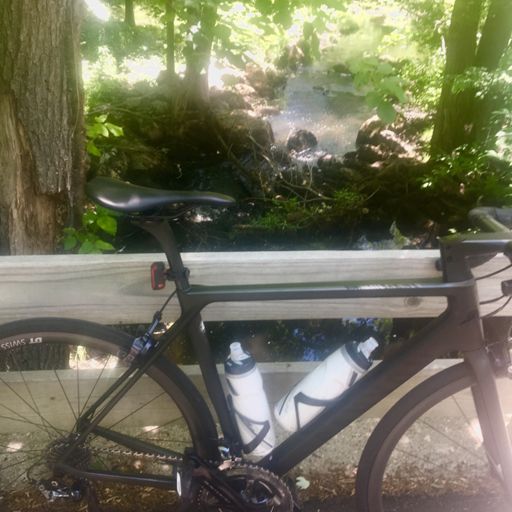 Caught plenty of trout here!