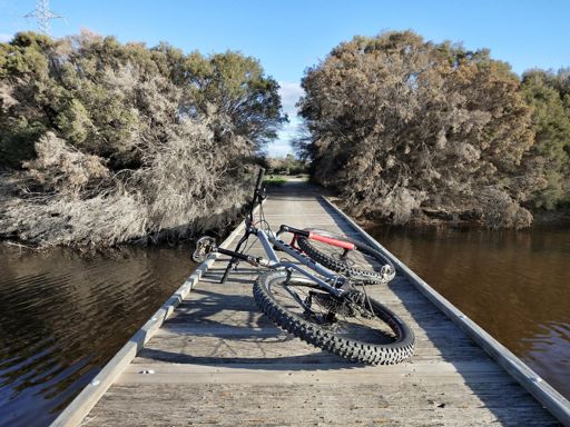 One of the many bridges in Barker Inlet Wetlands.