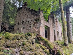 Les deux donons depuis la maison