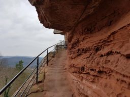 Rando trail Falkenstein