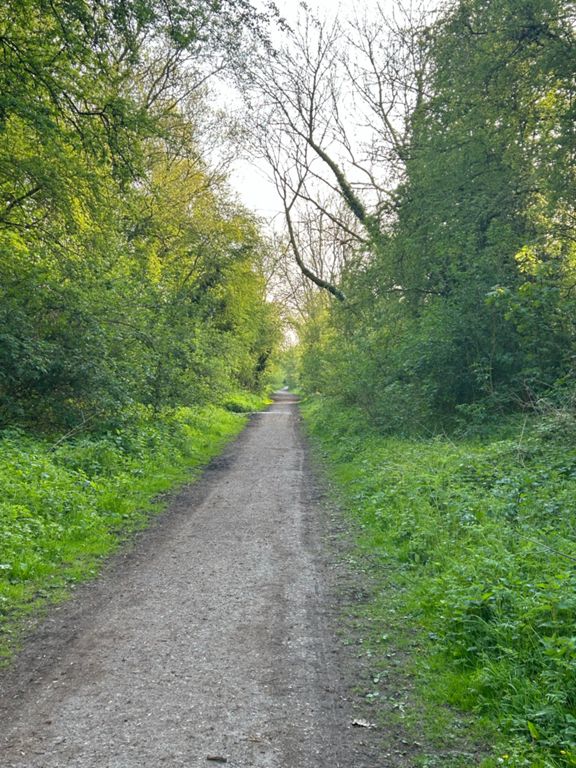 Market Weighton to Beverley Gravel 26.1 mi Cycling Route on Strava