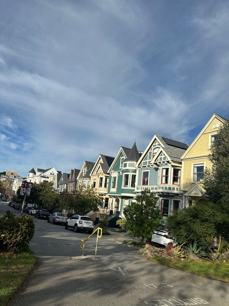 Butterlap (Presidio & Golden Gate Park) photo 152