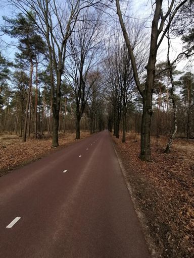 Meinweg - Herkenbosch