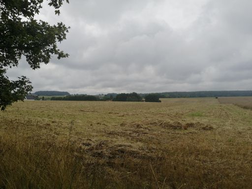 an der B 94 zwischen Göttendorf und Naitschau