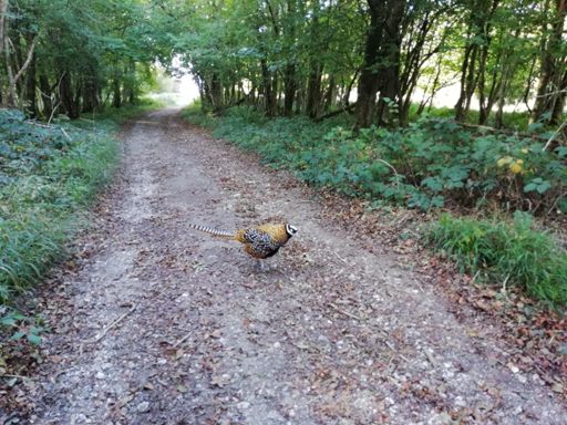 He doesn't want to move.