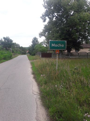 Taka w lesie wiocha - Mocha 🤔