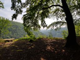 Vue du rocher de breitkopf