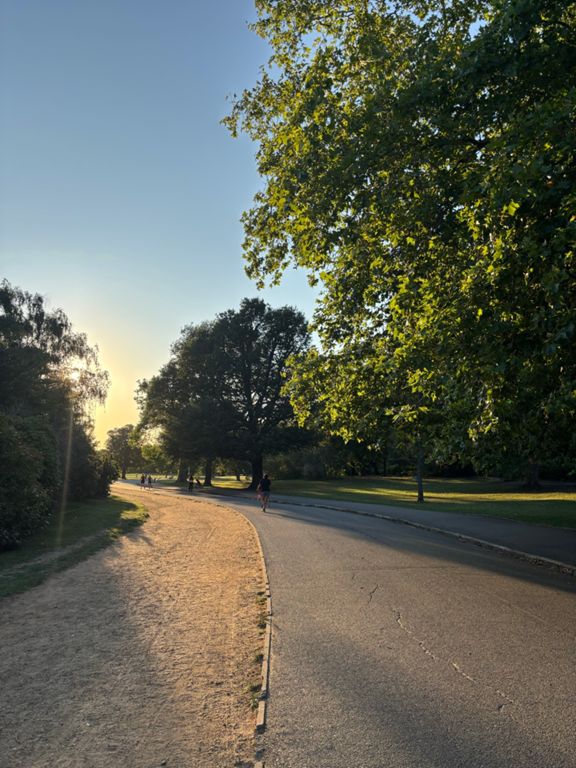 route-highlight