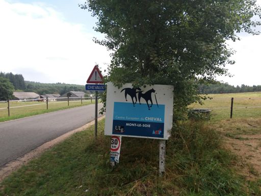 Bijna boven alleen nog een beetje vals plat deze foto 3x genomen. Camera bewoog van de inspanning. Op de top zit het Europeesch centrum voor de paardensport, geen paard gezien, wel geroken. Bij de afdaling kon ik een bocht niet houden. Had gelukkig een stukje weg waar ik naar uit kon wijken. Ik had me nog zo goed voorbereid op de afdaling kort en bochtig.