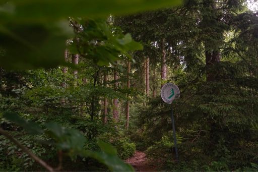 Als ik een tricot mocht ontwerpen zou ik dit lettertype gebruiken (sterretjes incluis).