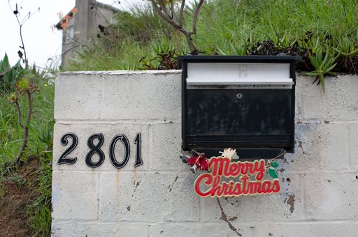 Beware, might be my Christmas card for 2026! 01/03/26