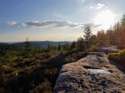 Trotte entre Vexaincourt et les Hautes Loges