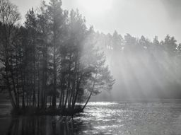 Sortie à vélo le midi