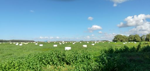 地平線が見える場所