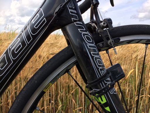 Vilja alkaa jo kypsymään näin pohjoisessa