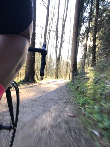 GrandPrix auf Waldboden