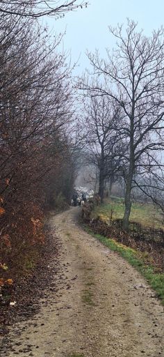 Ovčice sprijecise nastavak rute do Bijelih voda