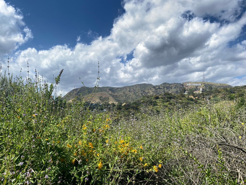 NBB run - Lake Hollywood photo 167