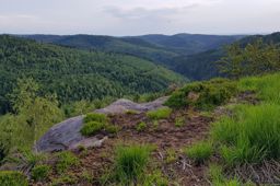 VTT/marche roches des druides et de Toldaine MTB/walk