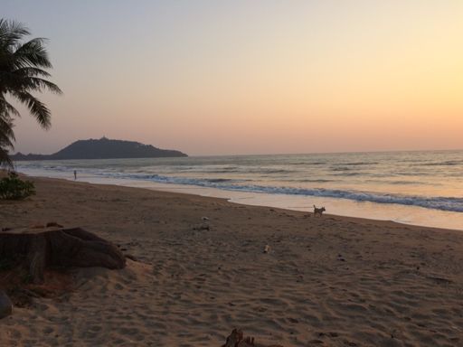 Early morning light. Temple in the background