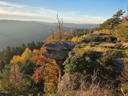 Dans les coins de Wuestenberg