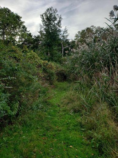 Garmin showed this as being a thru street....nothing but grass and mud. Needless to say I didnt make it!