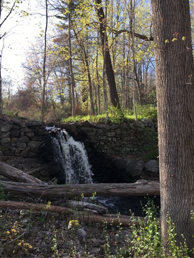 Chestnut Hill Rd., Madison, CT