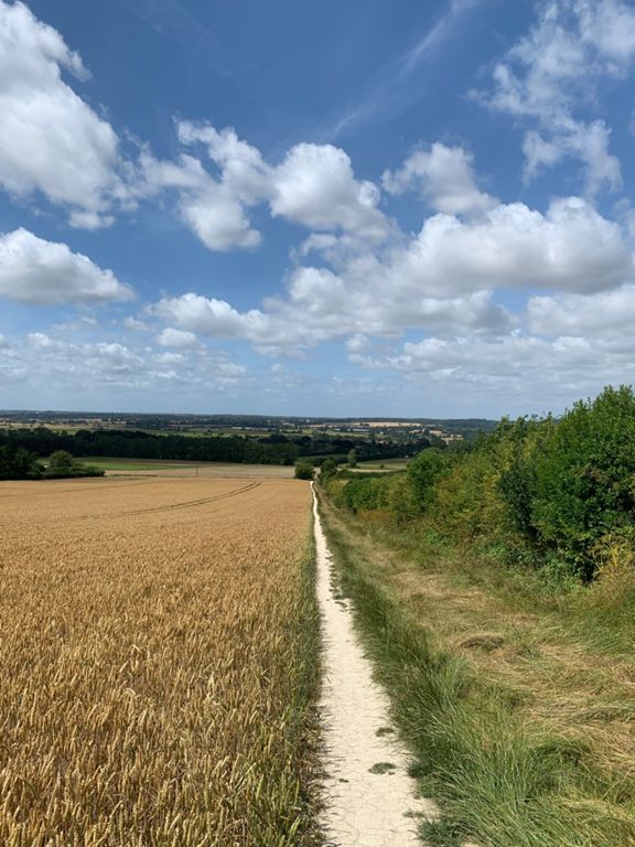 route-highlight