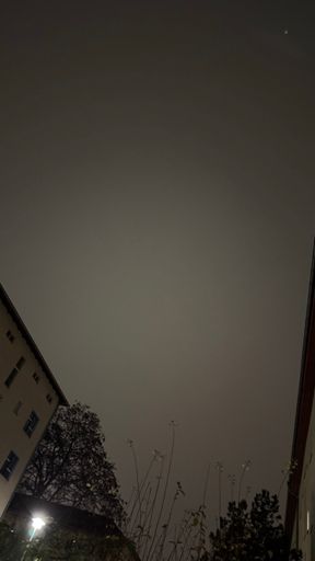 Dicke Hochnebelwolken dominieren den Himmel an diesem Dezemberdienstag. Die Luft ist kalt. Es ist eben Winter. ☁️