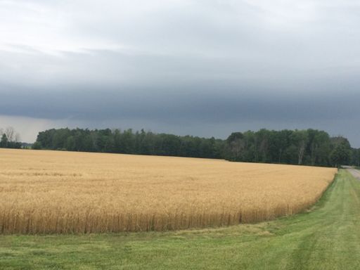 Beat the clouds out of town