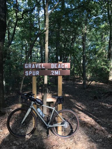 Where do Sequoias go when they want to swim??