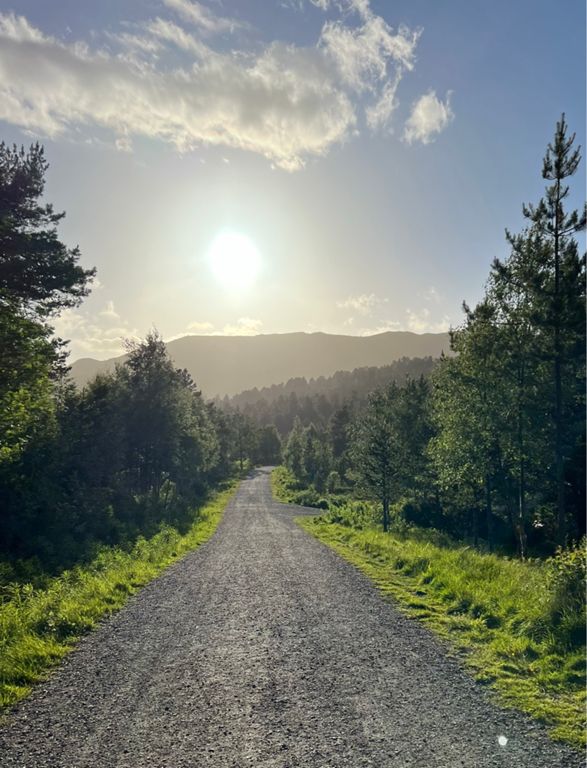 route-highlight
