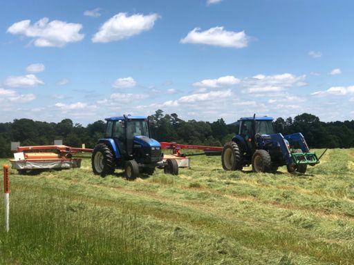 Reminds me of Vermont!