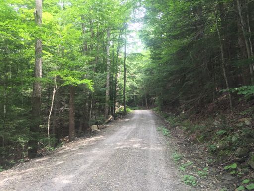 Mixed terrain - where's a gavel bike when you need one