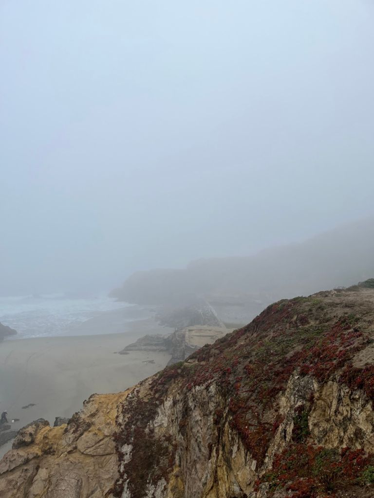 Butterlap (Presidio & Golden Gate Park)的照片 151