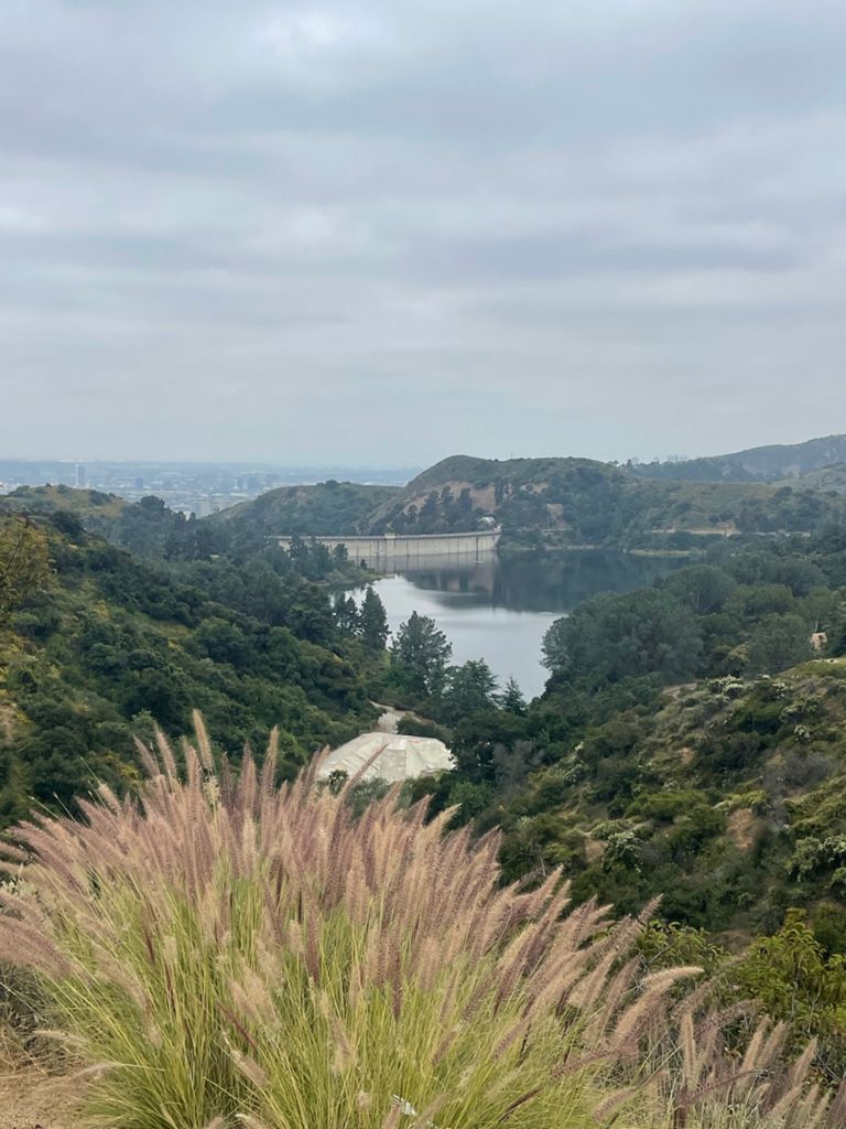 NBB run - Lake Hollywood photo 129