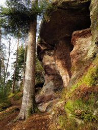 Course à pied matinale